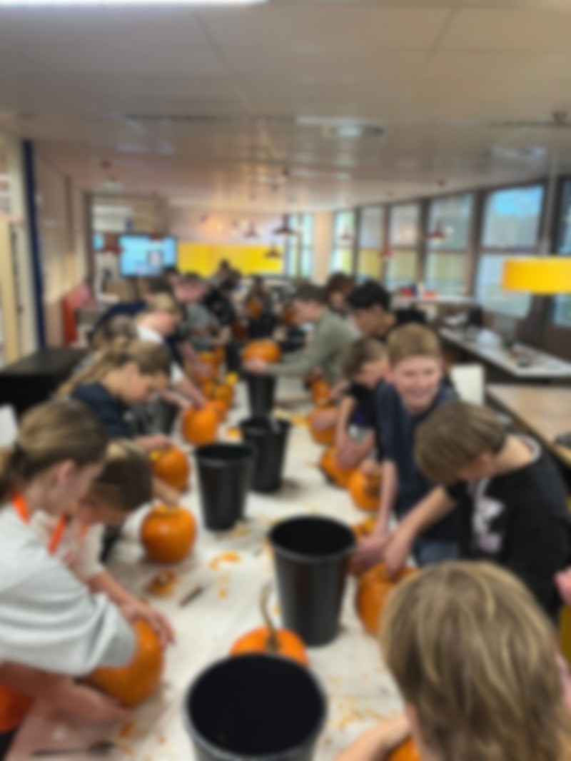Mentoractiviteit